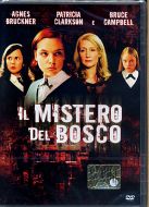 IL MISTERO DEL BOSCO