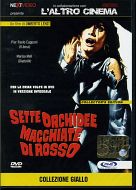 SETTE ORCHIDEE MACCHIATE DI ROSSO