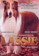 LA PIU' BELLA AVVENTURA DI LASSIE
