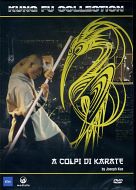 A COLPI DI KARATE