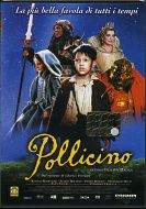 POLLICINO