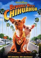 BEVERLY HILLS CHIHUAHUA