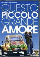 QUESTO PICCOLO GRANDE AMORE