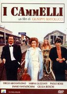 I CAMMELLI