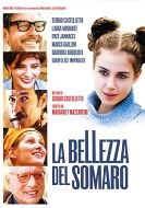 LA BELLEZZA DEL SOMARO
