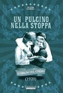 UN PULCINO NELLA STOPPA