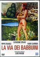 LA VIA DEI BABBUINI
