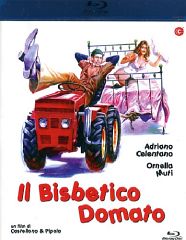 Il bisbetico domato