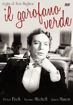 IL GAROFANO VERDE