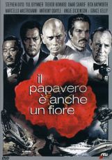 IL PAPAVERO E' ANCHE UN FIORE