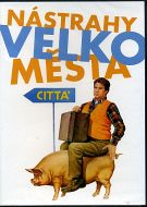 IL RAGAZZO DI CAMPAGNA
