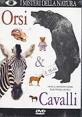 ORSI & CAVALLI