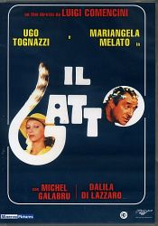 IL GATTO
