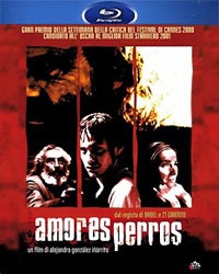 Amores Perros