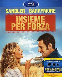 Insieme per forza