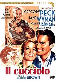 IL CUCCIOLO 