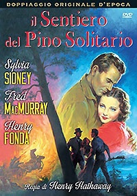 IL SENTIERO DEL PINO SOLITARIO