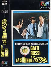 GATTI ROSSI IN UN LABIRINTO DI VETRO