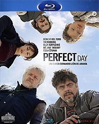 Perfect Day