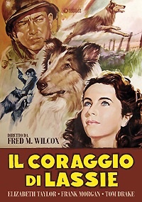 LASSIE - Il coraggio di Lassie
