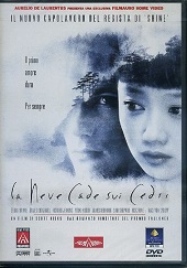 LA NEVE CADE SUI CEDRI