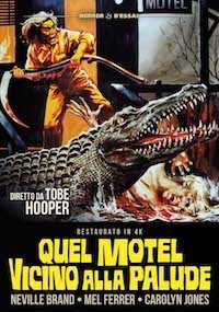 QUEL MOTEL VICINO ALLA PALUDE