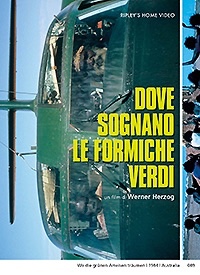 DOVE SOGNANO LE FORMICHE VERDI