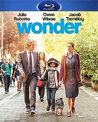 Wonder