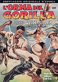L'ORMA DEL GORILLA