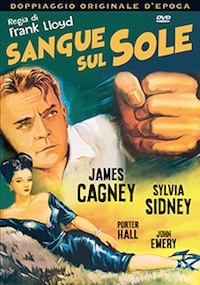 SANGUE SUL SOLE