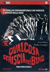 QUALCOSA STRISCIA NEL BUIO 