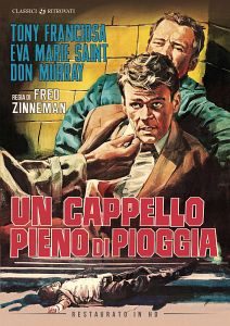 UN CAPPELLO PIENO DI PIOGGIA
