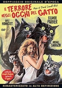 IL TERRORE NEGLI OCCHI DEL GATTO