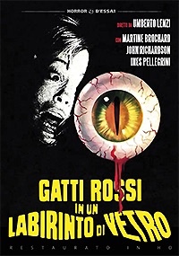 GATTI ROSSI IN UN LABIRINTO DI VETRO