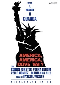 AMERICA AMERICA DOVE VAI ?