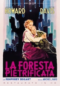 LA FORESTA PIETRIFICATA