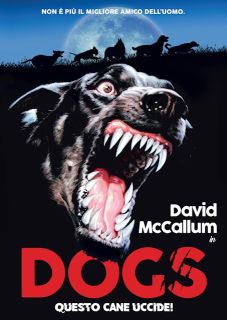 DOGS