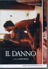 IL DANNO