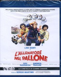 L'allenatore nel pallone