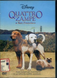 QUATTRO ZAMPE A SAN FRANCISCO