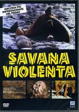 SAVANA VIOLENTA