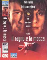 IL RAGNO E LA MOSCA