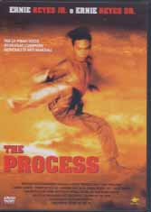 THE PROCESS